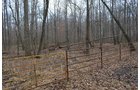 Property photo 34 - REAL ESTATE & FARM EQUIPMENT AUCTION IN ALLEN COUNTY, INDIANA